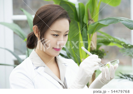 Research scientist concept, technicians working in laboratory 195 Research scientist concept, technicians working in laboratory 195 54479768