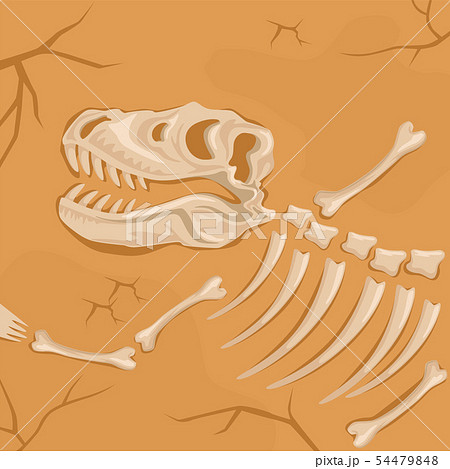 Fossilized Dinosaur Skeleton Buried In The Stock Illustration