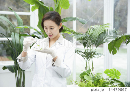 Research scientist concept, technicians working in laboratory 177 54479867