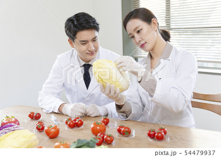 Research scientist concept, technicians working in laboratory 233 54479937