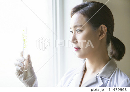 Research scientist concept, technicians working in laboratory 192 Research scientist concept, technicians working in laboratory 192 54479968