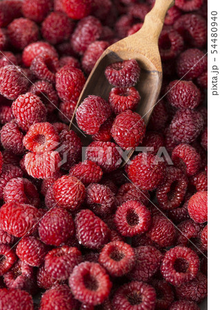 Assorted fresh berries, healthy lifestyle concept photo 108 54480940