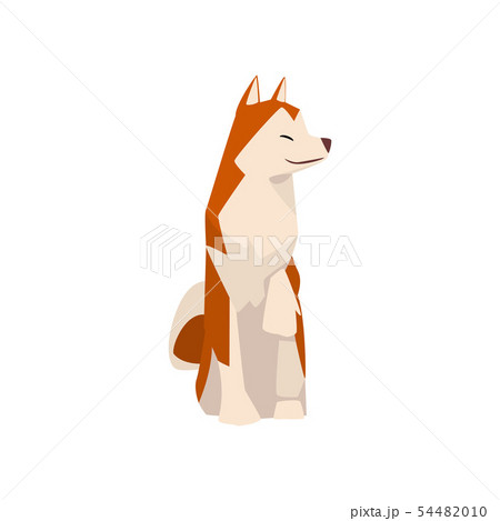 Shiba Inu Dog, Cute Sitting Brown Beige Fluffy Pet Animal Vector Illustration Shiba Inu Dog, Cute Sitting Brown Beige Fluffy Pet Animal Vector Illustration 54482010