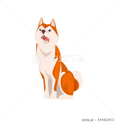 Shiba Inu Dog, Cute Sitting Japan Fluffy Pet Animal Vector Illustratio 54482053