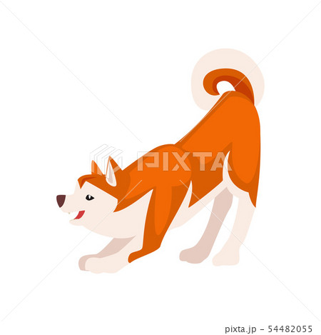 Shiba Inu Dog Barking, Cute Japan Fluffy Pet Animal Vector Illustration 54482055
