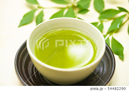 緑茶 緑茶 54482290
