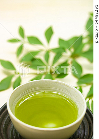 緑茶 緑茶 54482291