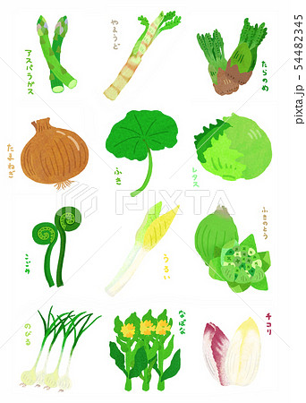 春野菜文字入り Spring Vegetablesのイラスト素材