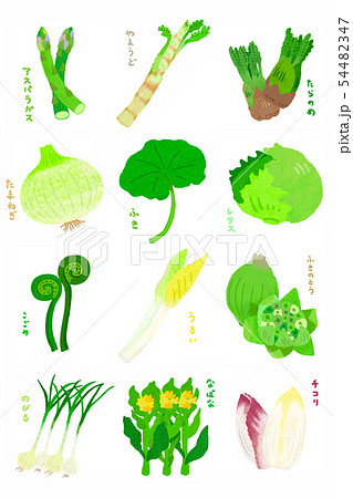 春野菜文字入り2 Spring Vegetablesのイラスト素材