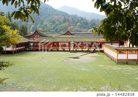 干潮時に見れる宮島・厳島神社の「鏡の池」 54482838