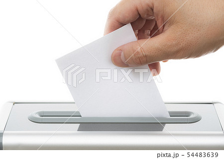 投票イメージ 白背景 投票イメージ 白背景 54483639