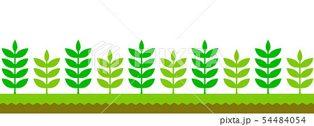 シームレス 植物 自然 葉っぱ パターン Webフッターデザイン向け のイラスト素材