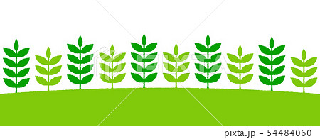 手書き風 植物 自然 葉っぱ パターン Webフッターデザイン向け のイラスト素材