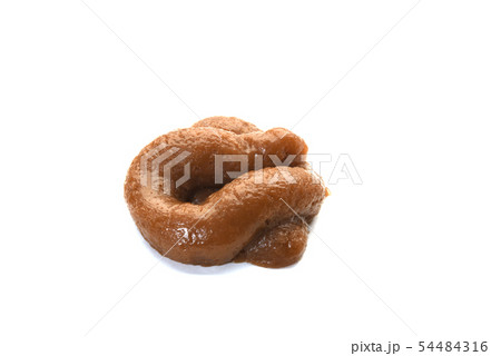うんこのおもちゃ うんこのおもちゃ 54484316