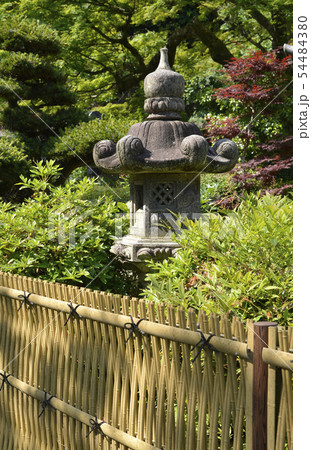 近松寺　庭の灯篭 54484380