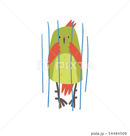 Cute Bird in Cage, Funny Birdie Cartoon Character with Bright Green Feathers in Captivity Vector Cute Bird in Cage, Funny Birdie Cartoon Character with Bright Green Feathers in Captivity Vector 54484509