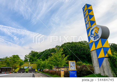 いしかわ動物園　石川県能美市　どうぶつ 54484745
