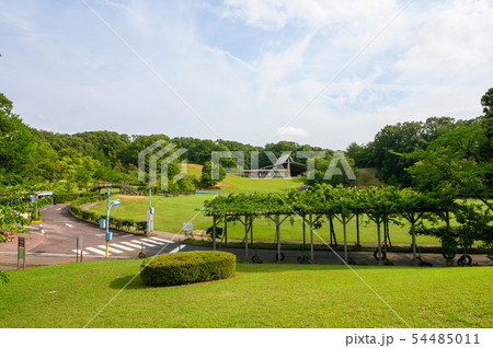 辰口丘陵公園(きゅうりょうこうえん)/石川県能美市/芝生/公園 辰口丘陵公園(きゅうりょうこうえん)/石川県能美市/芝生/公園 54485011