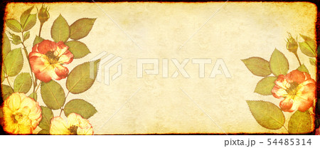 Grunge background with paper texture and dried 54485314