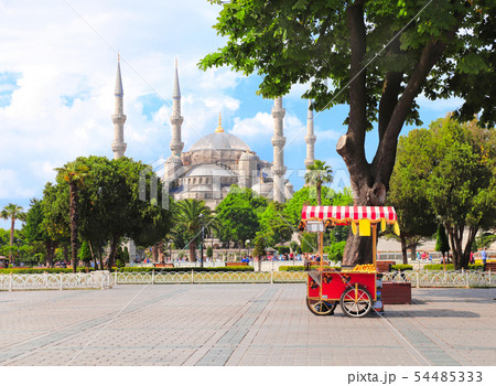 Blue mosque (Sultan Ahmet mosque), Sultanahmet 54485333