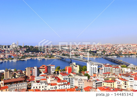 Aerial view on Istanbul and Bosphorus, Turkey 54485342