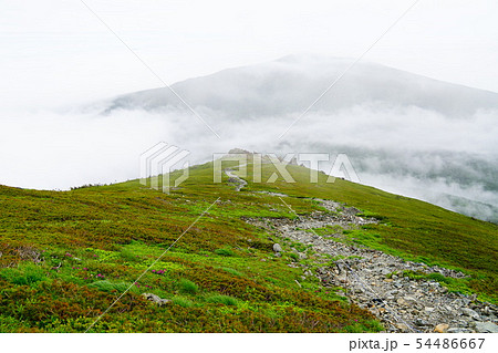 早池峰山 小田越コース 六合目あたりからの薬師岳と雲海 早池峰山 小田越コース 六合目あたりからの薬師岳と雲海 54486667