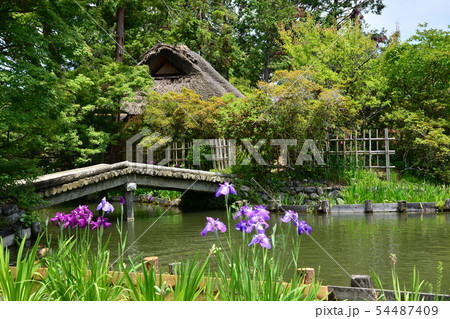 梅宮大社 54487409