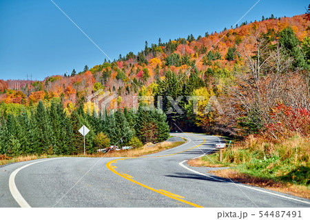 Highway at autumn day, Vermont, USA. 54487491