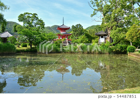 大覚寺 54487851