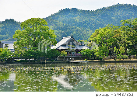 大覚寺 大覚寺 54487852