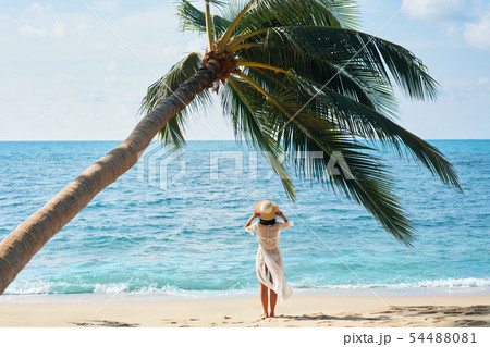 Back view of pretty young woman relax and enjoy sea standing under palm tree on tropical beach 54488081