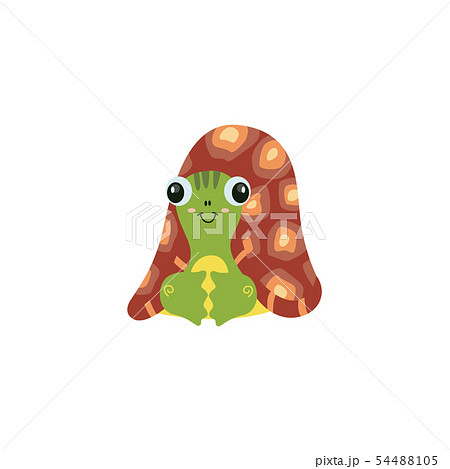 Cartoon Turtle With Green Skin And Big Brown のイラスト素材