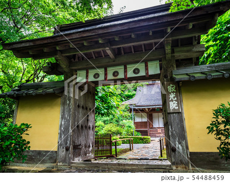 春の京都　寂光院 54488459