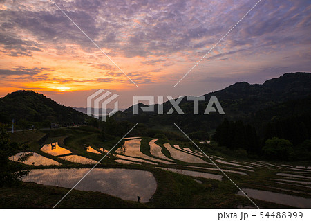 朝焼けの棚田 54488999