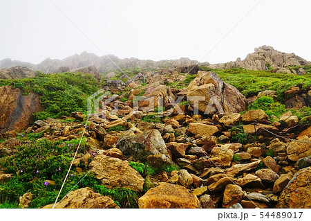 早池峰山 小田越コース 登山道 早池峰山 小田越コース 登山道 54489017