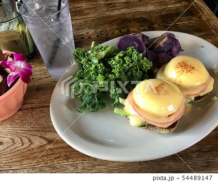 ハワイの朝食 エッグベネディクト 54489147
