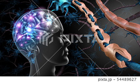 Multiple Sclerosis Nerve Disorder 54489627