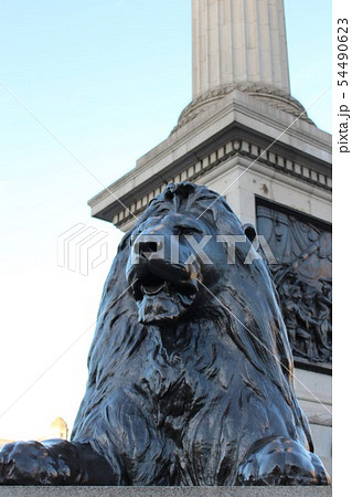 ロンドン トラファルガー広場 ライオン像の写真素材