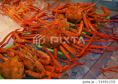 紅ずわいがに 紅ずわいがに 54491159