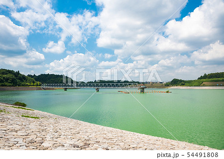 東金ダム ときがね湖 （千葉県東金市） ※2019年6月撮影 54491808