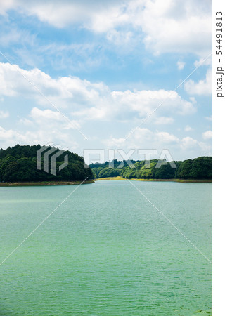 東金ダム ときがね湖 (千葉県東金市) ※2019年6月撮影 東金ダム ときがね湖 (千葉県東金市) ※2019年6月撮影 54491813