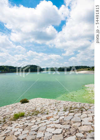 東金ダム ときがね湖 （千葉県東金市） ※2019年6月撮影 54491815