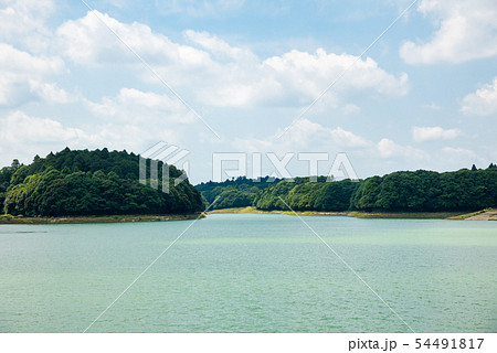 東金ダム ときがね湖 (千葉県東金市) ※2019年6月撮影 東金ダム ときがね湖 (千葉県東金市) ※2019年6月撮影 54491817