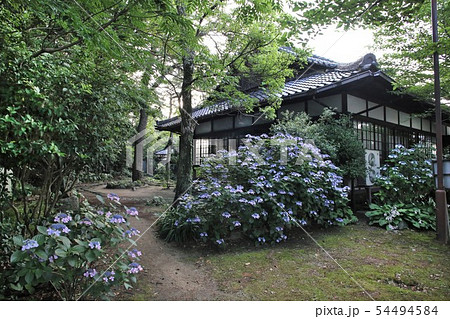 和歌浦 あしべ屋妹背別荘 和歌浦 あしべ屋妹背別荘 54494584