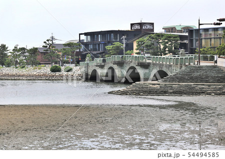 和歌浦 干潟観察会 和歌浦 干潟観察会 54494585