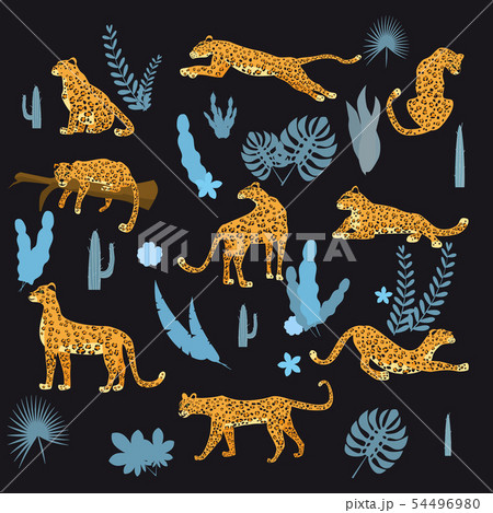 Set of leopards in various poses, plants, flowers, exotic, graphic cute trend style, mammal predator 54496980