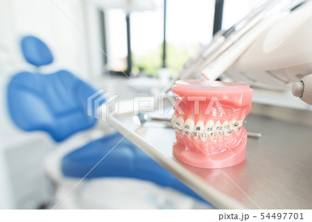 Jaw model in dentists office 54497701