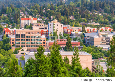Eugene, Oregon, USA Skyline 54497965