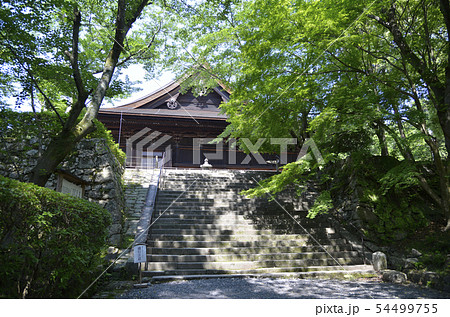 新緑の三井寺　金堂 54499755