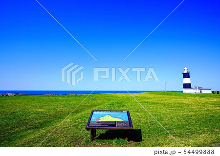 春の能取岬　網走市 54499888